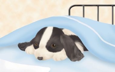 Cute Puppy Hiding Under Blanket Illustration