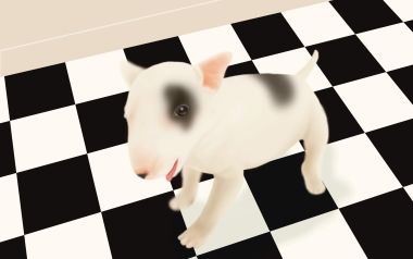 Cute Bull Terrier Puppy Illustration