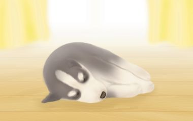 温馨治愈系哈士奇幼犬插画