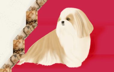可爱长毛西施犬数字插画