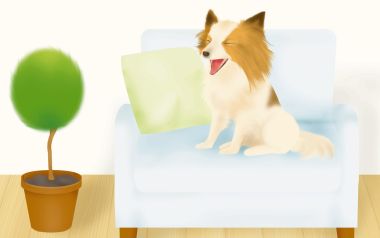 温馨居家插画：坐在沙发上开怀大笑的可爱蝴蝶犬