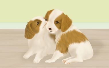 温馨治愈的查理王小猎犬幼犬插画