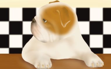 可爱斗牛犬插画