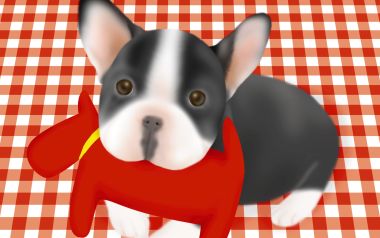 可爱法国斗牛犬与红色玩具插画