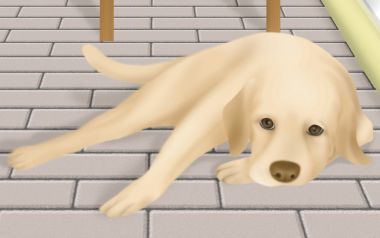 可爱拉布拉多幼犬插画