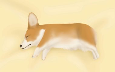 温馨治愈系柯基犬睡觉插画