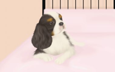 温馨卧室里的可爱查理王小猎犬插画