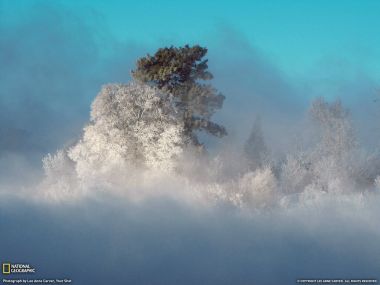 Canada Ontario Rideout Bay Winter Frost And Blue Sky