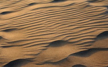 Desert Dune Texture Close Up