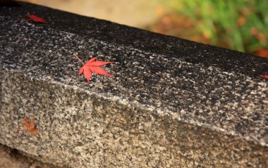 日本下鸭神社石栏上的红枫叶