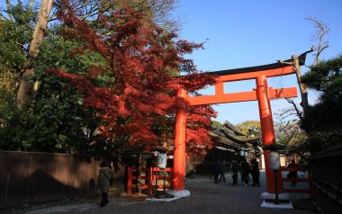 日本京都下鸭神社秋日红叶鸟居