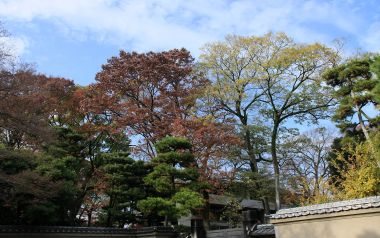 Kyoto Shimogamo Shrine Autumn Scenery