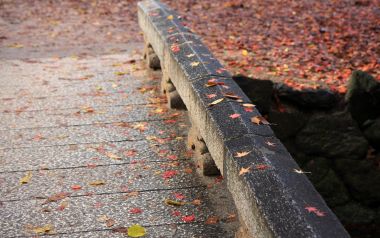 Kyoto Shimogamo Shrine Autumn Stone Bridge Maple Leaves
