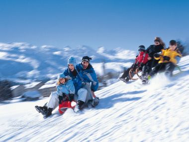 Winter Sledding Scene In Toggenburg Eastern Switzerland