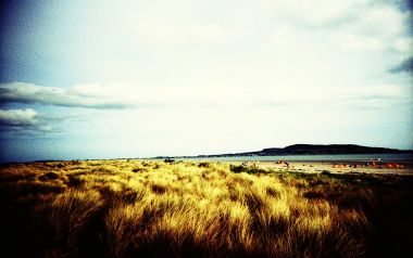 LOMO风格爱尔兰Bull Island海滩自然风光