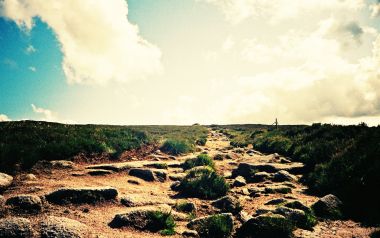 Lomo Style Natural Stone Path Landscape