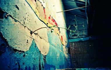 LOMO风格老旧墙壁植物生长场景