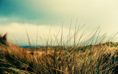 Lomo Style Grassland In Mullaghmore Ireland