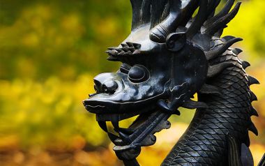 Chinese Traditional Dragon Sculpture Close Up