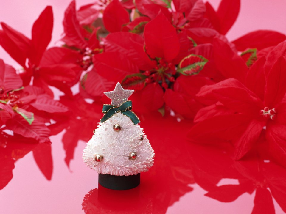 Miniature White Christmas Tree With Red Poinsettia