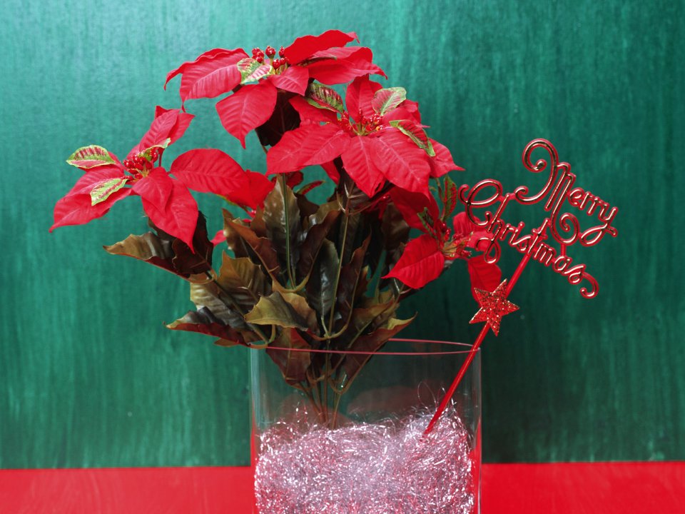 Red Poinsettia Christmas Floral Decor