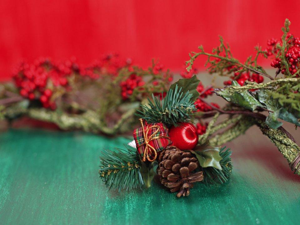 Christmas Macro Pinecone Red Berry Still Life