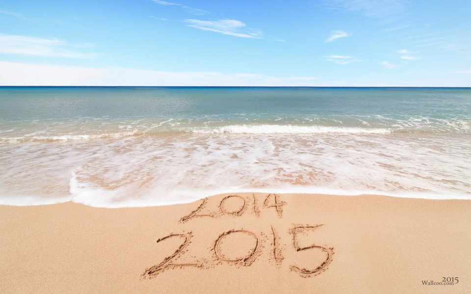 2015年海滩新年庆祝