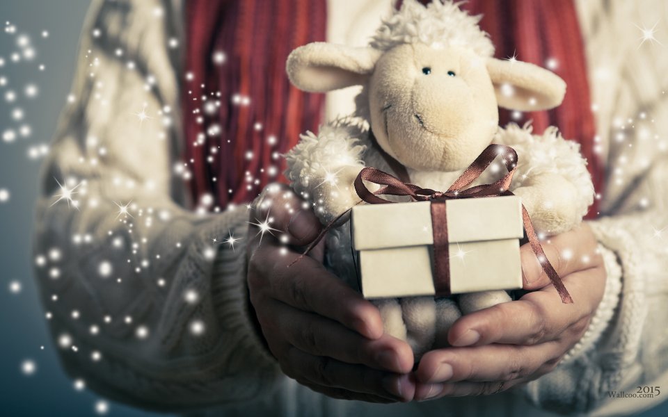 Hands Holding Sheep Plush Toy And Gift Box Winter