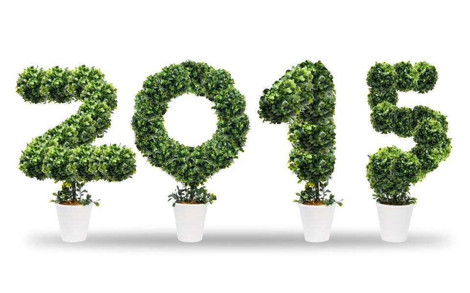 2015年新年创意数字造型：绿色植物盆栽壁纸