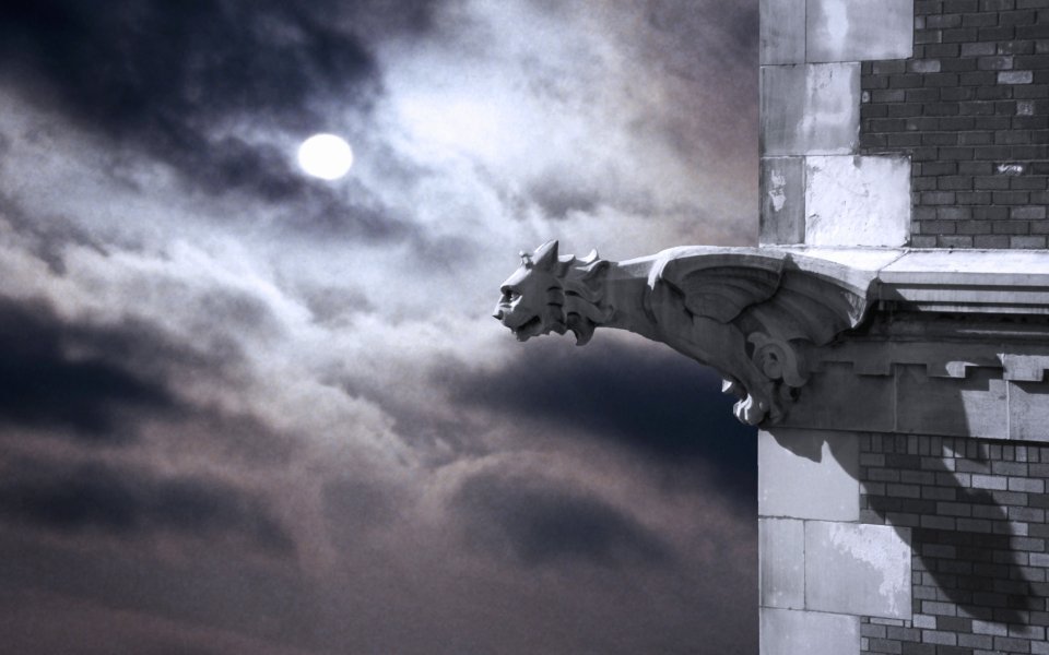 Gothic Gargoyle Moonlit Night Sky