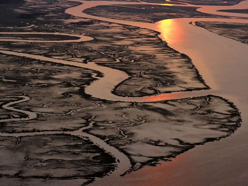 Aerial View Of South Carolina Salt Marsh At Sunset