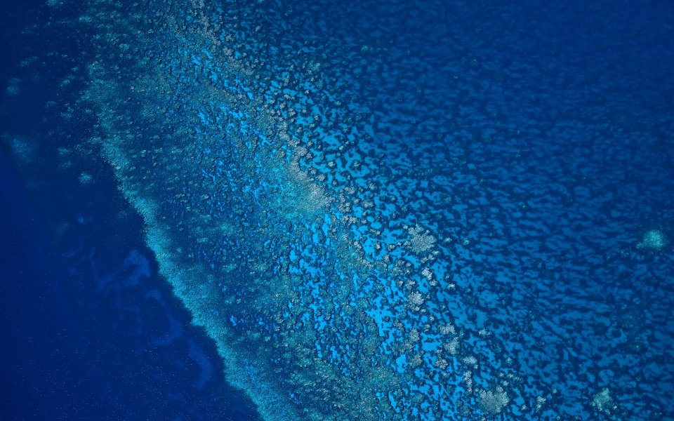 Aerial View Of Tropical Coral Reef In Deep Blue Ocean