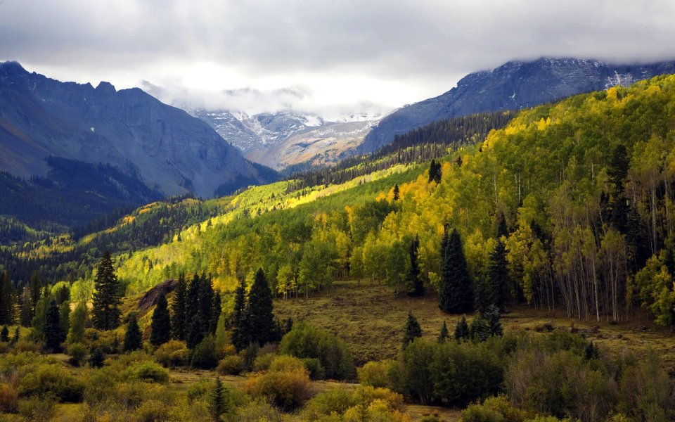 Autumn Scenery At Dallas Divide Colorado