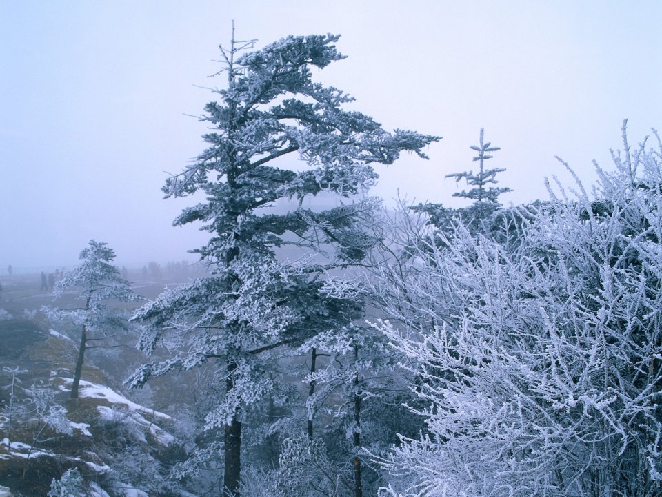 China Winter Mountain Rime Pine Snow Scenery