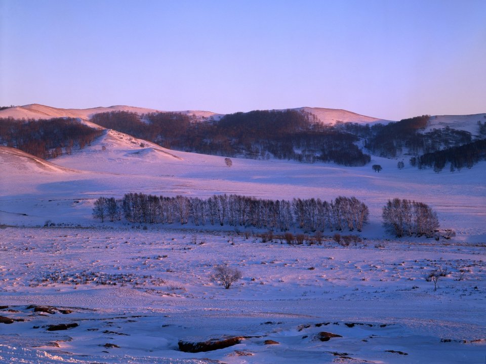 中国坝上冬季雪原晨光雪景