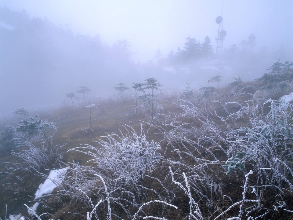 中国冬日山野雾凇浓雾朦胧雪景