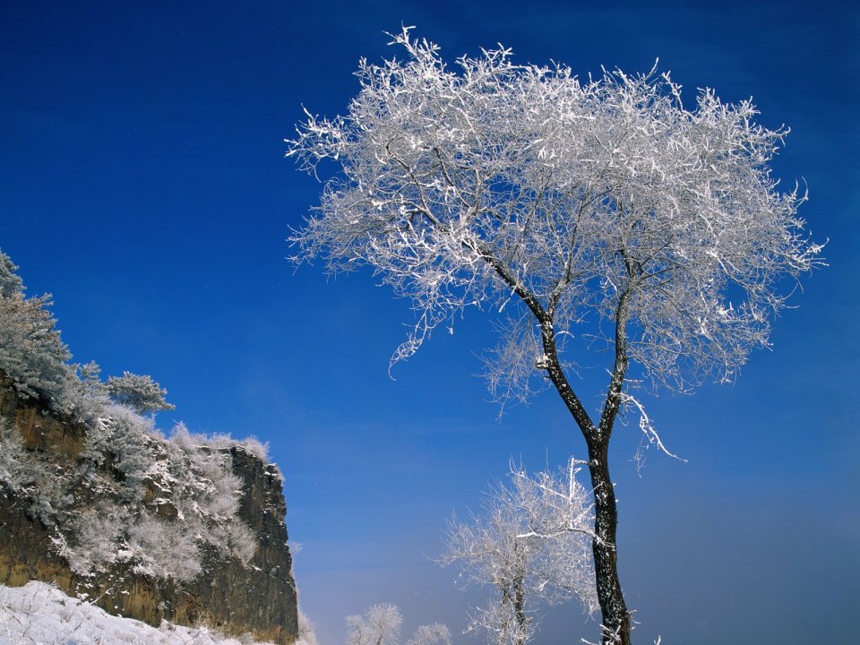 中国冬日晴空下雾凇树与悬崖雪景