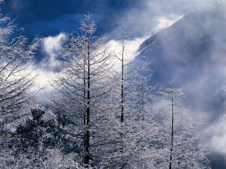 中国冬季高山雾凇云海自然风光