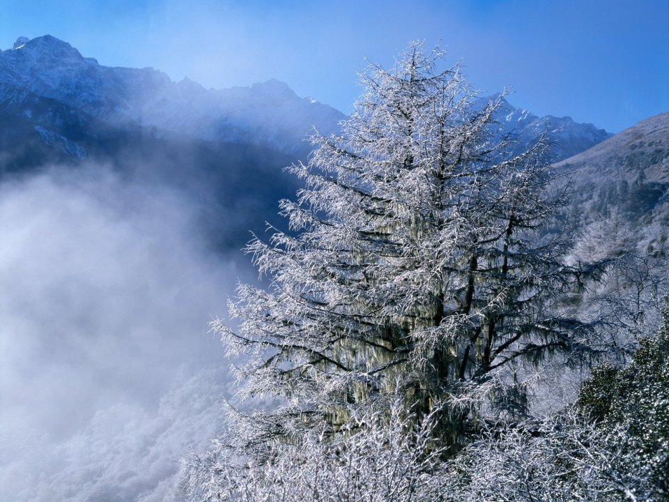 China Winter Alpine Rime Snow Mountain Sea Of Clouds Scenery