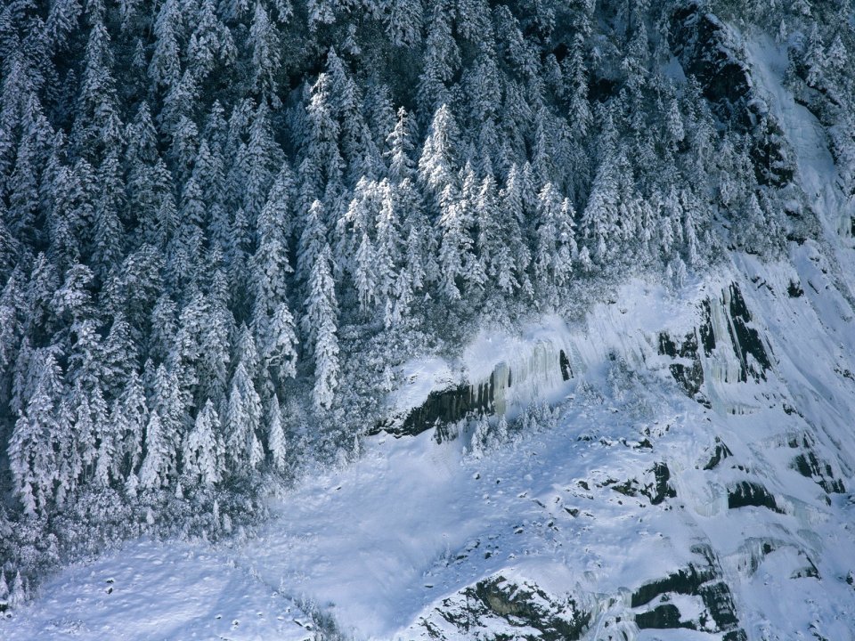 中国冬日高山雪林冰挂雪景