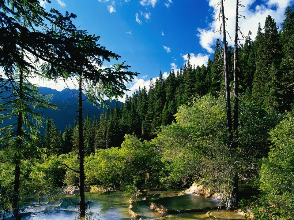 China Western Sichuan Primeval Forest Travertine Pool Landscape