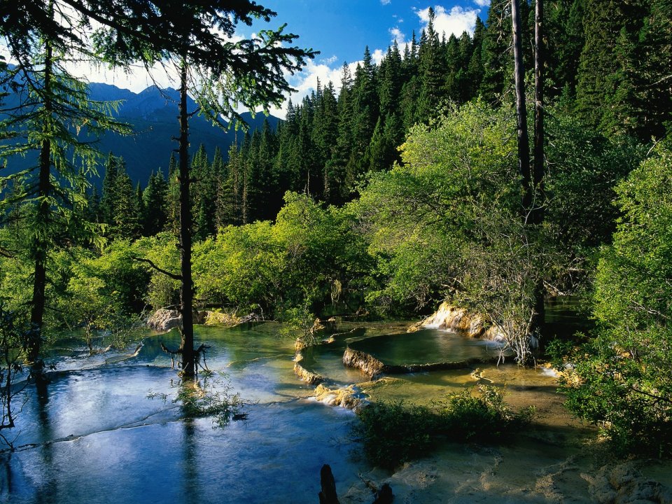 China Primeval Forest Travertine Pool Natural Landscape