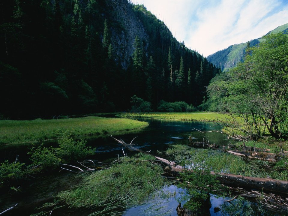 China Primeval Forest Valley Stream Meadow Natural Scenery