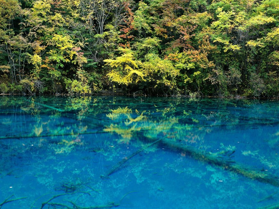 Jiuzhaigou Autumn Colorful Forest Blue Lake Natural Scenery
