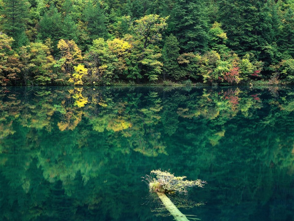China Autumn Forest Lake Mirror Reflection Landscape