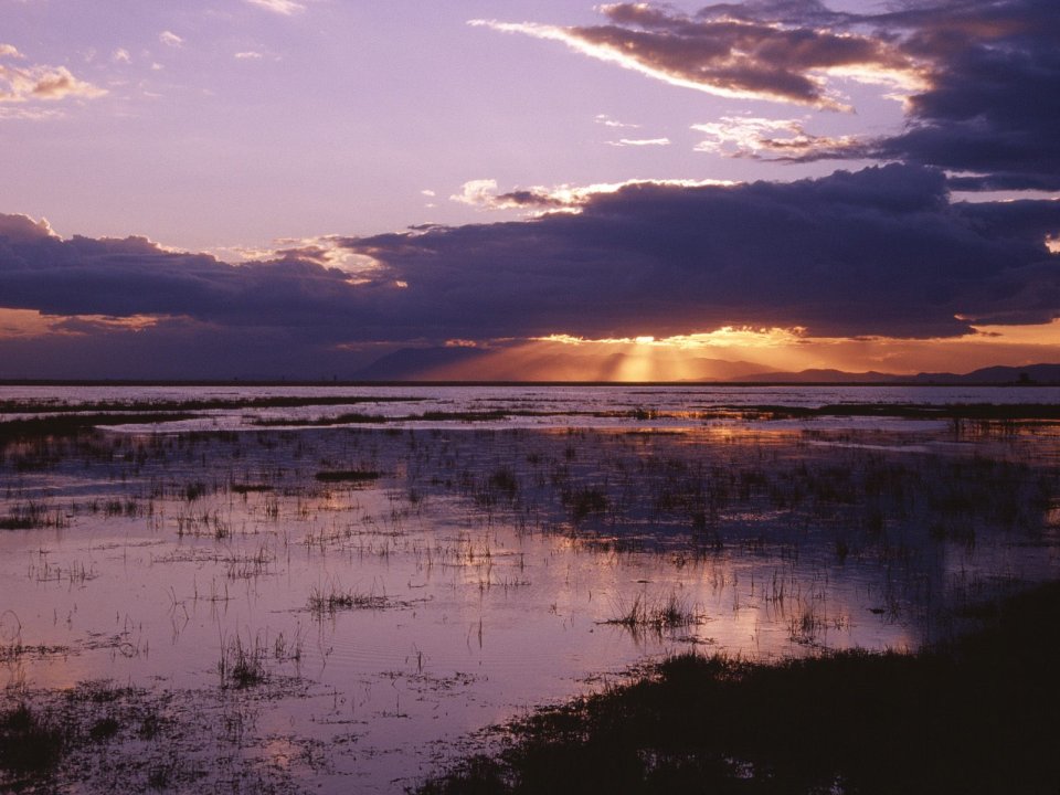 Sunset At Amboseli National Park Kenya