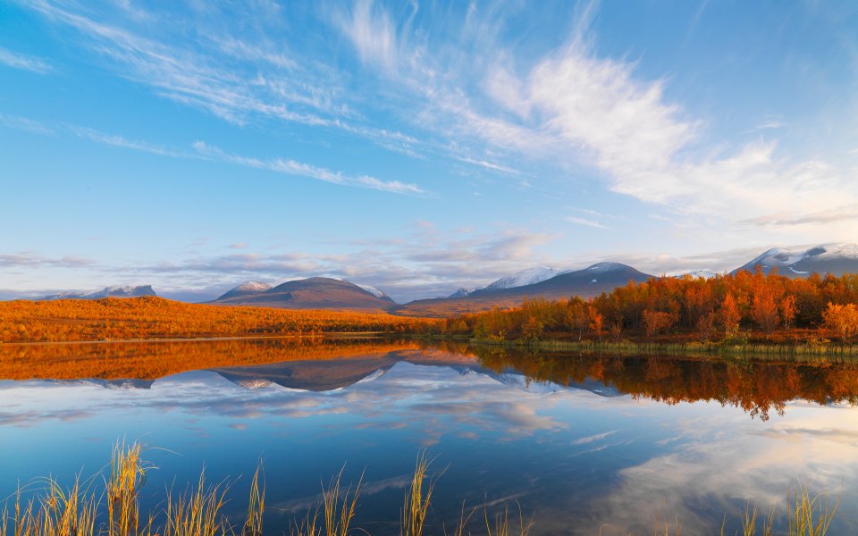 Arctic Autumn Lake Orange Forest Snow Mountain Landscape