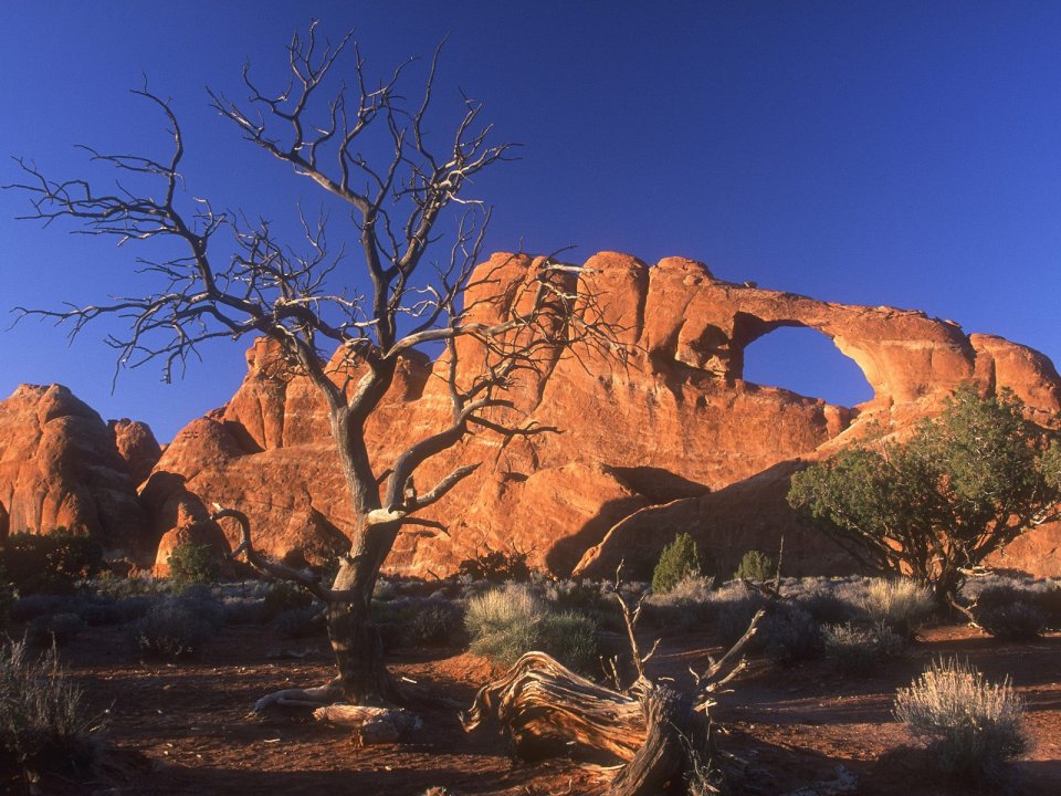 Arches National Park Utah Desert
