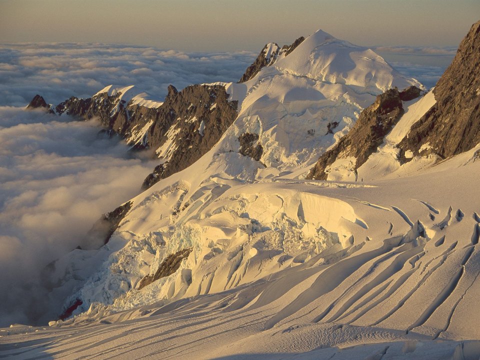 Balfour Glacier Westland National Park New Zealand