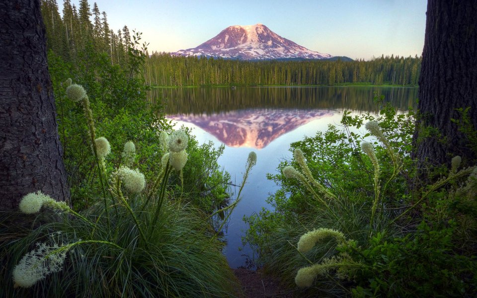Bear Grass Mount Adams Washington Lake View
